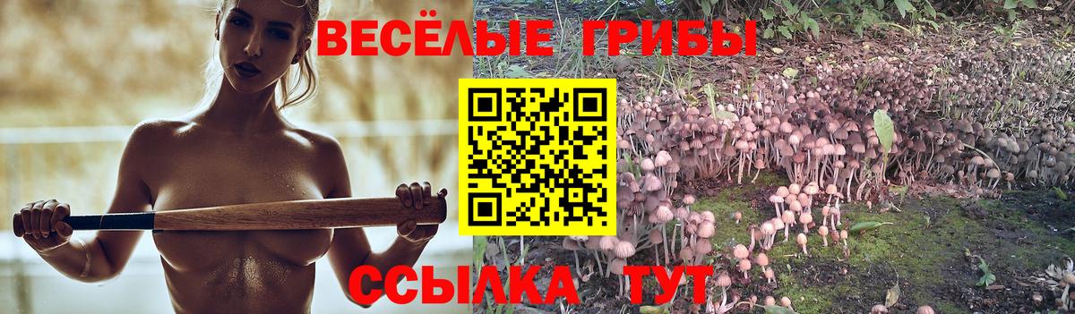 Галлюциногенные грибы Magic Shrooms Лобня